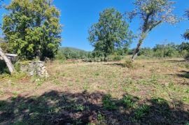 ISTRA, GROŽNJAN - Kamena samostojeća ruševina s velikim građevinskim zemljištem u cjelini, Grožnjan, House