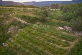 ISTRA, CEROVLJE, GRIMALDA - Poljoprivredno zemljište u blizini jezera Butoniga, Cerovlje, Terreno