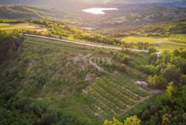 ISTRA, CEROVLJE, GRIMALDA - Poljoprivredno zemljište u blizini jezera Butoniga, Cerovlje, Земля