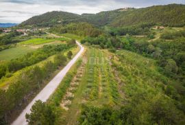 ISTRA, CEROVLJE, GRIMALDA - Poljoprivredno zemljište u blizini jezera Butoniga, Cerovlje, Terra