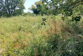 ISTRA,VIŠNJAN - Građevinsko zemljište u stambenoj zoni, Višnjan, Land