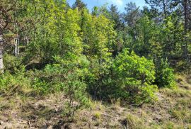 ISTRA, HUM - Prostrano poljoprivredno zemljište, Buzet, Terreno