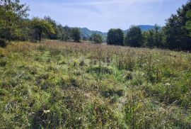 ISTRA, HUM - Prostrano poljoprivredno zemljište, Buzet, Terrain