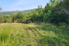 ISTRA, HUM - Prostrano poljoprivredno zemljište, Buzet, Arazi
