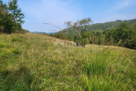 ISTRA, HUM - Prostrano poljoprivredno zemljište, Buzet, Arazi