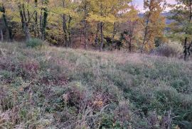 ISTRA, GROŽNJAN - Prostrano građevinsko zemljište s prekrasnim pogledom, Grožnjan, Land