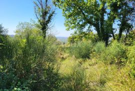 ISTRA, GROŽNJAN - Prostrano građevinsko zemljište s prekrasnim pogledom, Grožnjan, Arazi