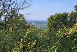 ISTRA, GROŽNJAN - Zemljište s prekrasnim pogledom, Grožnjan, Terrain