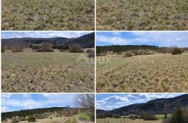 ISTRA, GROŽNJAN - Više poljoprivrednih zemljišta u okolici Grožnjana, Grožnjan, Tierra