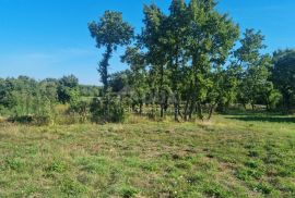 ISTRA, SVETVINČENAT - Kombinirano zemljište sa zgradom, Svetvinčenat, Terrain