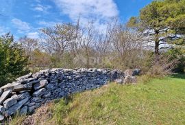 ISTRA, SVETVINČENAT - Kombinirano zemljište sa zgradom, Svetvinčenat, Land