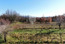 Pićan, kompleks građevinskog i poljoprivednog zemljišta, Pićan, Land