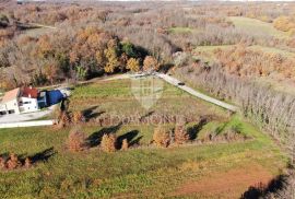 Pićan, kompleks građevinskog i poljoprivednog zemljišta, Pićan, Terrain