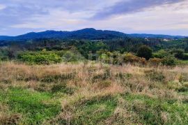 ISTRA, PAZIN, OKOLICA - Građevinsko i poljoprivredno zemljište u mirnom naselju, Pazin - Okolica, Земля