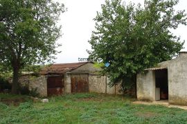Istra, Barban okolica, imanje sa građevinskom dozvolom, 11153m2, Barban, Tierra
