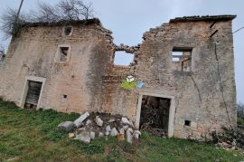 Istra, Žminj, kamen samostojeća istarska kuća 160m2 na velikoj građevinskoj okućnici 3978m2 za renoviranje prodaja, Žminj, Kuća