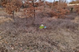 Istra,Sveti Petar u Šumi građevinsko i poljoprivredno zemljište,22502m2,prilika!, Sveti Petar U Šumi, Land