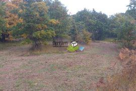 Istra,Sveti Petar u Šumi građevinsko i poljoprivredno zemljište,22502m2,prilika!, Sveti Petar U Šumi, Terreno