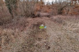 Istra,Sveti Petar u Šumi građevinsko i poljoprivredno zemljište,22502m2,prilika!, Sveti Petar U Šumi, Terrain