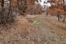 Istra,Sveti Petar u Šumi građevinsko i poljoprivredno zemljište,22502m2,prilika!, Sveti Petar U Šumi, Γη