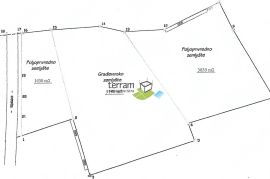 Istra, Svetvinčenat kombinacija građevinskog i poljoprivrednog zemljišta 10655m2, Svetvinčenat, Terra