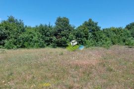 Istra, Svetvinčenat kombinacija građevinskog i poljoprivrednog zemljišta 10655m2, Svetvinčenat, Land