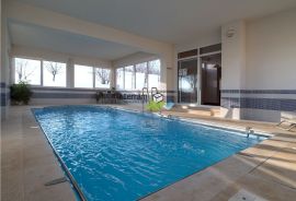 Istra, Vodnjan, samostojeća kuća 531m2 s unutarnjim bazenom i velikom okućnicom, prodaja, Vodnjan, Haus