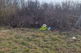 Istra, Barban, građevinsko zemljište 3160m2 s objektom od 40m2 prodaja, Barban, Land