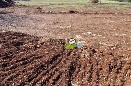 Istra, Tinjan, građevinsko zemljište 1095m2 s građevinskom dozvolom za kuću s bazenom prodaja, Tinjan, Tierra