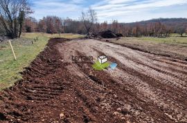 Istra, Tinjan, građevinsko zemljište 1490m2 s građevinskom dozvolom za kuću s bazenom prodaja, Tinjan, Земля