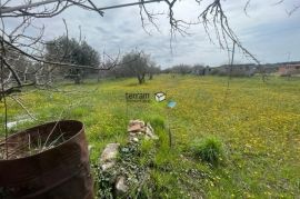 Istra, Fažana, zemljište 3800m2 sa legaliziranom objektom 68m2, struja, voda! #prodaja, Fažana, أرض