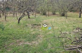 Istra, Barban, samostojeća kuća 139m s okućnicom 2033m2 prodaja, Barban, House