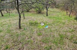 Istra, Barban, samostojeća kuća 139m s okućnicom 2033m2 prodaja, Barban, Haus