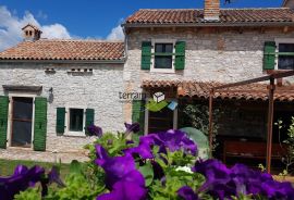 Istra, Marčana, Krnica, kamena kuća 110m2, okućnica 600m2 s bazenom, prodaja, Marčana, Famiglia