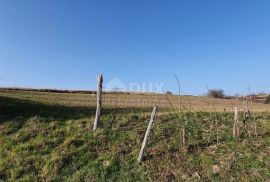 ISTRA, MOTOVUN, KAŠĆERGA - Građevinsko zemljište s građevinskom dozvolom, panoramski pogled!, Pazin - Okolica, Land