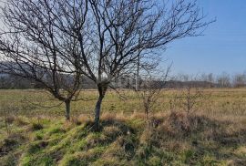 ISTRA, MOTOVUN, KAŠĆERGA - Građevinsko zemljište s građevinskom dozvolom, panoramski pogled!, Pazin - Okolica, Zemljište