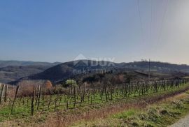 ISTRA, MOTOVUN, KAŠĆERGA - Građevinsko zemljište s građevinskom dozvolom, panoramski pogled!, Pazin - Okolica, Land