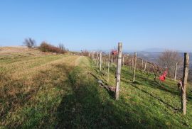 ISTRA, MOTOVUN, KAŠĆERGA - Građevinsko zemljište s građevinskom dozvolom, panoramski pogled!, Pazin - Okolica, Земля