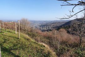 ISTRA, MOTOVUN, KAŠĆERGA - Građevinsko zemljište s građevinskom dozvolom, panoramski pogled!, Pazin - Okolica, Land