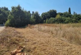 ISTRA, SVETVINČENAT - Građevinsko zemljišta s građevinskom dozvolom, Svetvinčenat, Land