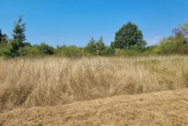 ISTRA, SVETVINČENAT - Građevinsko zemljišta s građevinskom dozvolom, Svetvinčenat, أرض