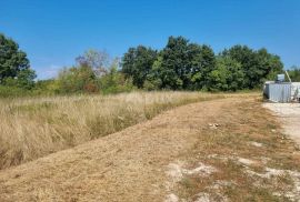 ISTRA, SVETVINČENAT - Građevinsko zemljišta s građevinskom dozvolom, Svetvinčenat, Land