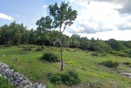 ISTRA, SVETVINČENAT - Građevinsko zemljište na rubu naselja, Svetvinčenat, Terrain