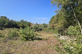 ISTRA, SVETVINČENAT - Građevinsko zemljište na rubu naselja, Svetvinčenat, Terrain