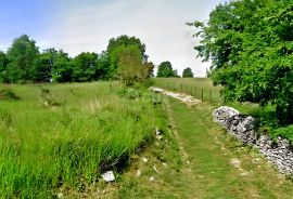 ISTRA, GROŽNJAN - Prostrano zemljište na rubu naselja, Grožnjan, أرض