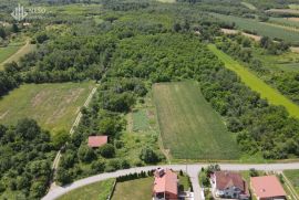 ZEMLJIŠTE - BUKOVICA - 7650 m2, Laktaši, Terrain