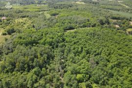 ZEMLJIŠTE - BUKOVICA - 7650 m2, Laktaši, Land