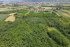 ZEMLJIŠTE - BUKOVICA - 7650 m2, Laktaši, Terrain