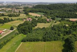 ZEMLJIŠTE - K.O. MAHOVLJANI (RIJEČANI) - 10000m2, Laktaši, Земля