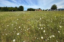 ISTRA, BARBAN - Građevinsko zemljište za gradnju kompleksa vila! PRILKA ZA INVESTICIJU!, Barban, Terrain